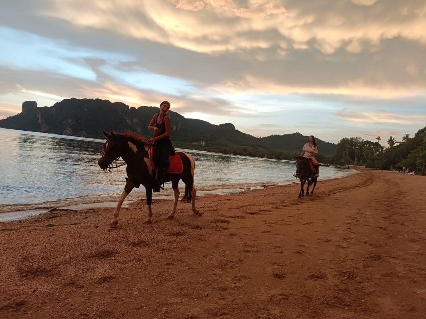 Krabi Horse Riding on the Beach and Atv Extreme - Pricing and Cancellation Policy