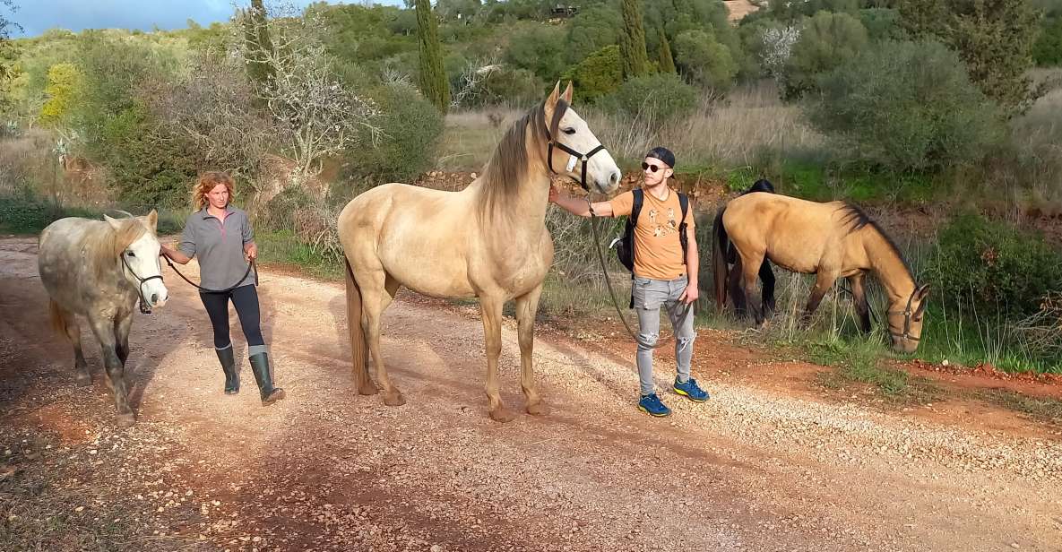 Lagos: a Walk With a Rescued Horse at the Sanctuary - Getting to the Sanctuary