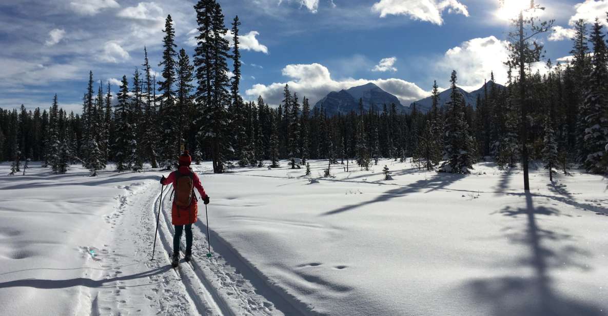 Lake Louise: Cross Country Skiing Lesson With Tour - Important Considerations