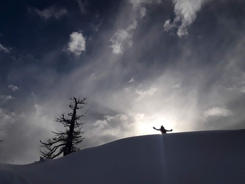 Lake Tahoe: Snowshoeing Guided Tour - Activity Details and Difficulty