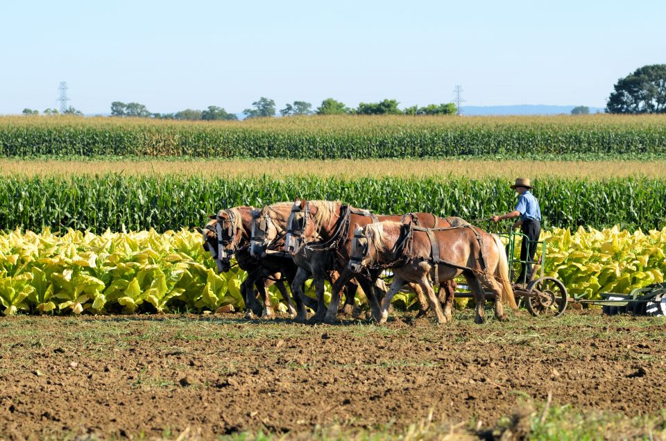 Lancaster County: Amish Farmlands, Museum Tour, Farm Visit - Inclusions and Important Information