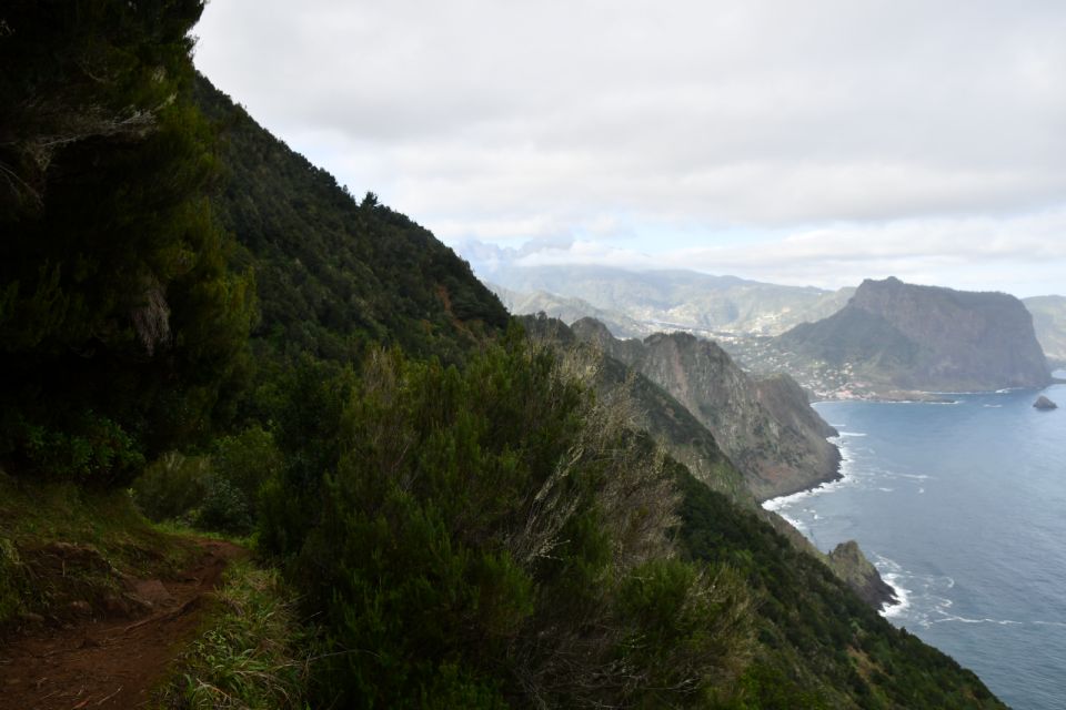 Larano Hike by Overland Madeira - Unique Ecosystem