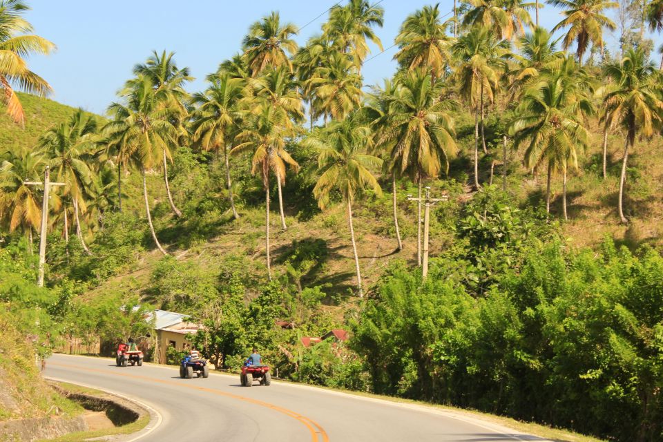 Las Terrenas: Private Coffee Trail ATV Tour in Samana - Organic Farming Observation