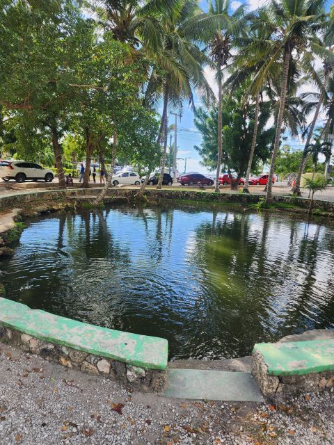 Learn About the History of Bayahibe and Bathe in 7 Springs - Visiting the Springs of Bayahibe