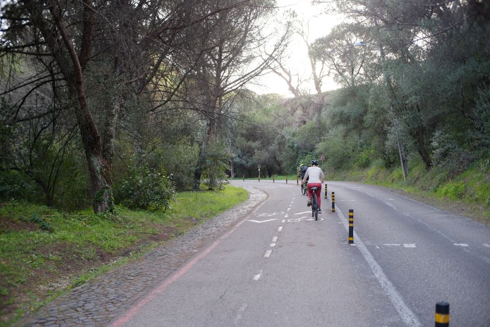 Lisbon: Guided Tour of Monsanto Park by Vintage Bike - Explore Monsanto Forest Park