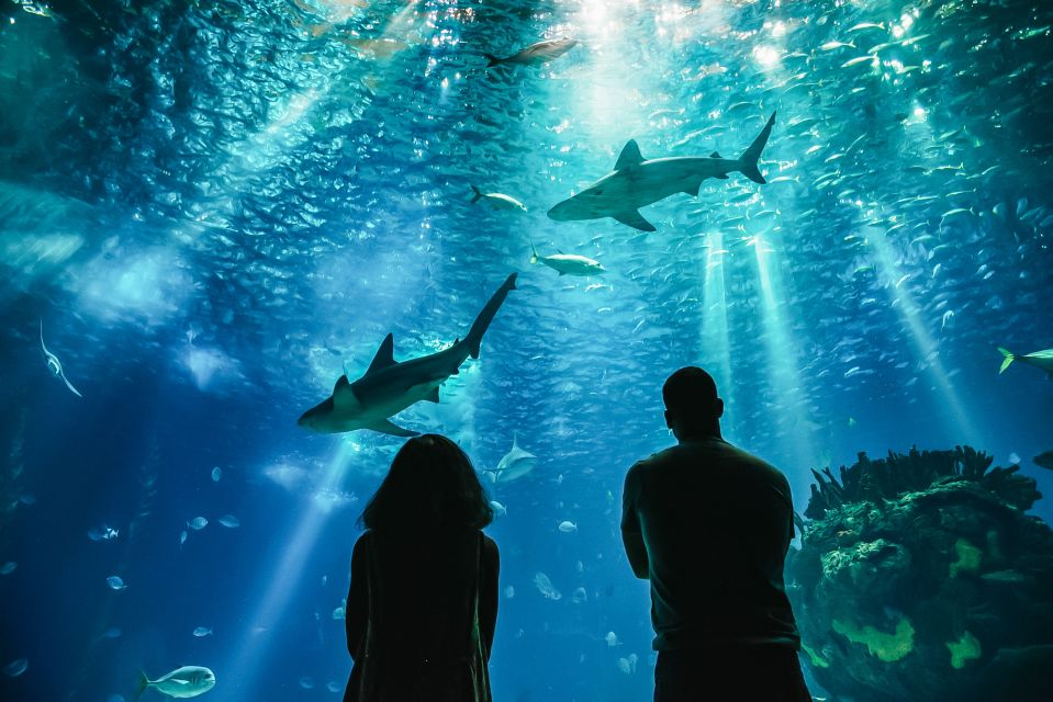 Lisbon: Oceanarium Of Lisbon Entrance Ticket - Educational Programs Offered