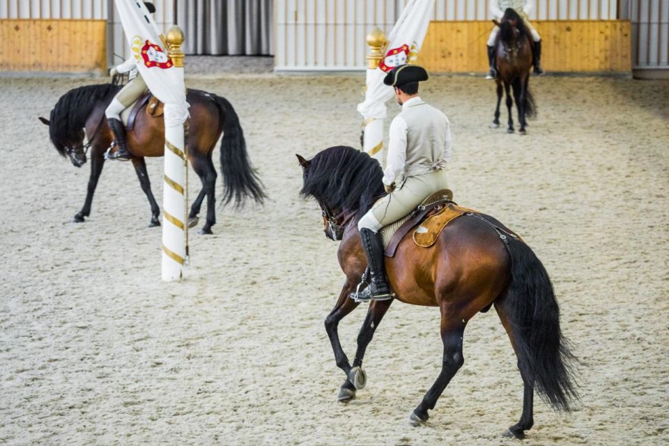 Lisbon: Portuguese Riding School Trainig With Lusitano Horse - Whats Included