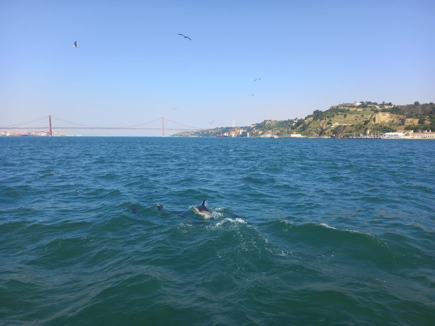 Lisbon: Tagus River Cruise to the Ocean & Dolphin Watching - Tagus River Exploration