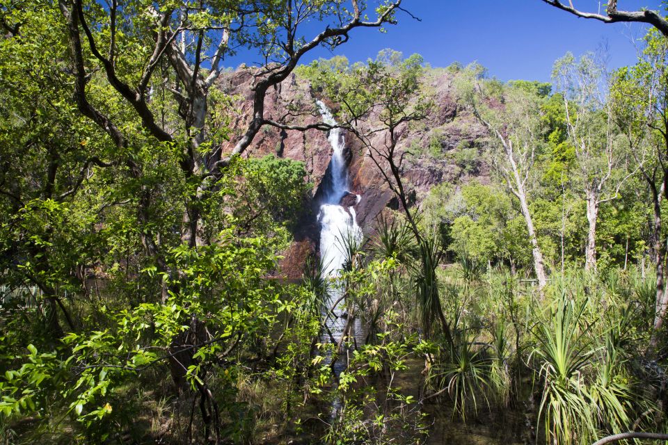 Litchfield National Park: Full-Day & Lunch From Darwin - Customer Reviews