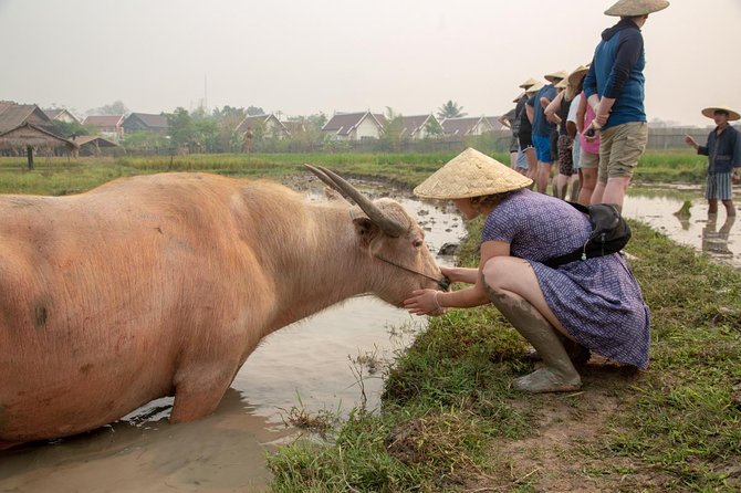 Living Land Rice Farming Experience - Customer Experiences and Testimonials