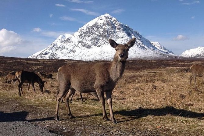 Loch Ness, Glencoe, and the Highlands Day Trip From Glasgow - Cancellation and Refund Policy