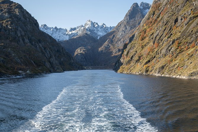 Lofoten Island: Silent Trollfjord Cruise From Svolvaer - Underwater Drone Exploration