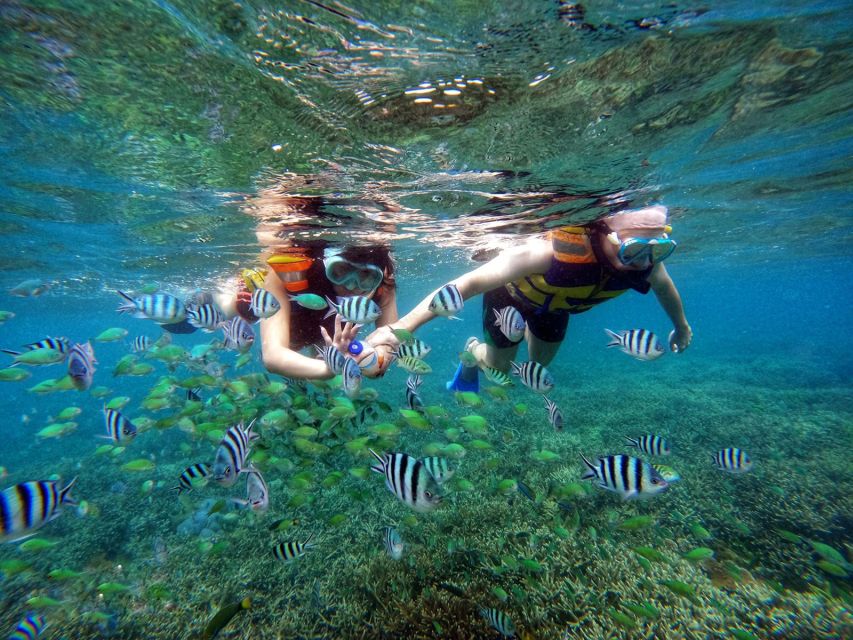 Lombok: Secret Gili Private Snorkeling Boat Trip - Pickup and Drop-off