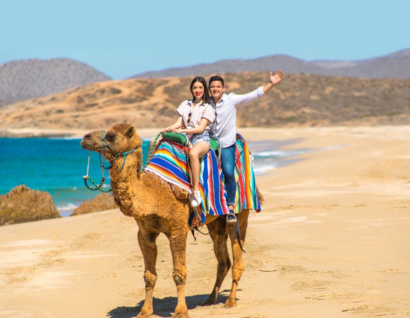 Los Cabos: Desert Camel and ATV Ride With Tequila Tasting - Tequila Tasting Experience