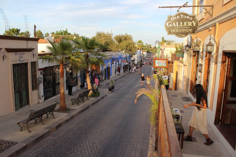 Los Cabos: Half-Day San Lucas and San Jose Tour - Wandering the Cabo San Lucas Marina