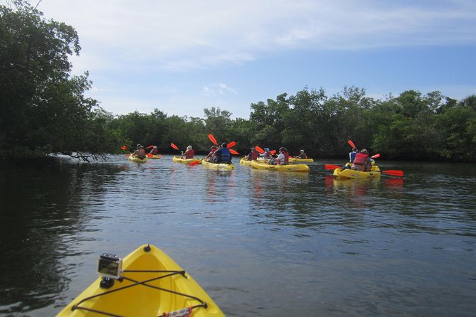 Lovers Key Guided Eco Tour-Mangrove Estuary - Recap