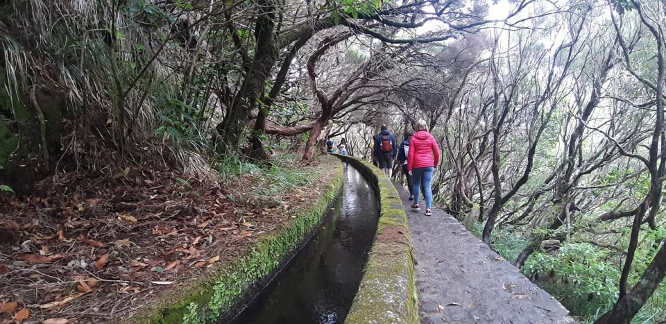 Madeira: 25 Fontes and Risco Levada Hike With Transfers - What to Bring