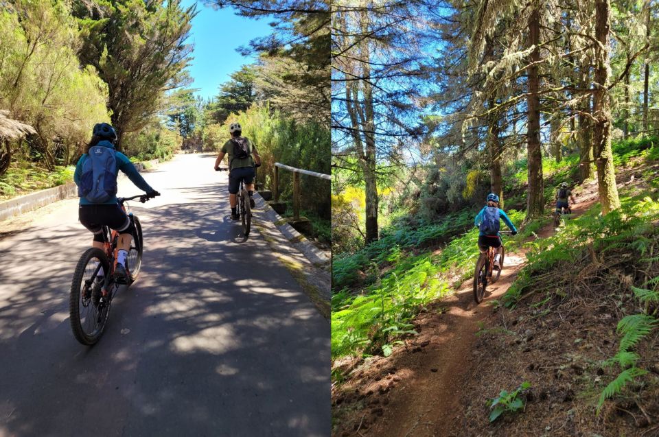 Madeira - Mountain Biking Tour - Enduro World Series Tracks