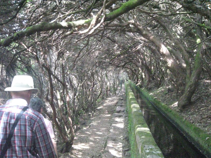 Madeira: Mountain Walk With Lagoon and Waterfalls - Essential Inclusions