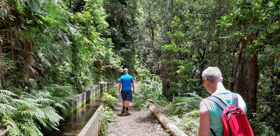 Madeira: Private Levada Faja Dos Rodrigues Walk - Inclusions in the Tour