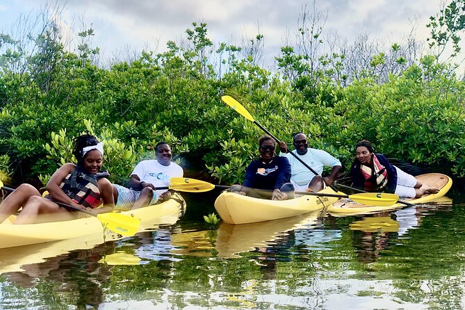 Magic Mangrove Paddle in Beef Island Lagoon - Tour Inclusions and Duration