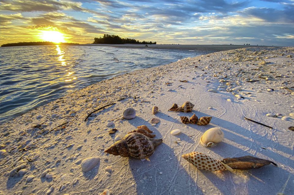 Marco Island:Sunset Boat Tour With Bottle of Champagne - Important Information