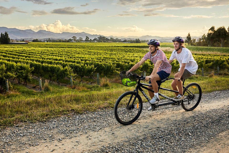 Marlborough: Full-Day Self-Guided Biking Wine Tour - Frequently Asked Questions