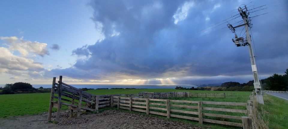 Martinborough Winery and South Wairarapa Wild Coast Tour - Group Size Limit