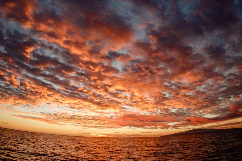 Maui: Luxury Alii Nui Catamaran Royal Sunset Dinner Sail - Duration and Departure Details