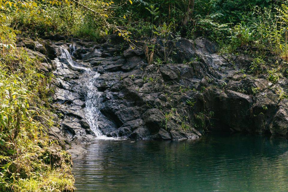 Maui: Rainforest Waterfalls Guided Hike With Picnic Lunch - Jumping Into Freshwater Pools