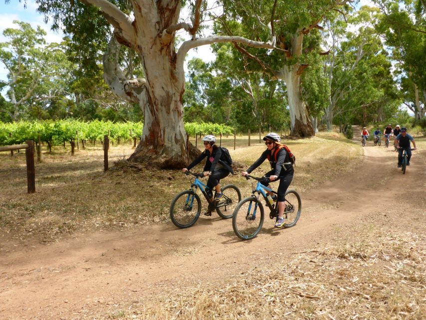 Mclaren Vale Hills Vines and Wines Bike Tour From Adelaide - Customer Reviews