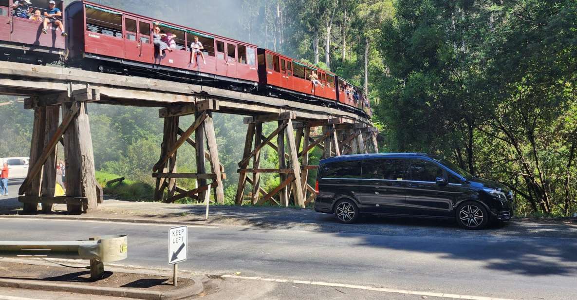 Melbourne to Puffing Billy and Yarra Valley Private Tour - Testimonials