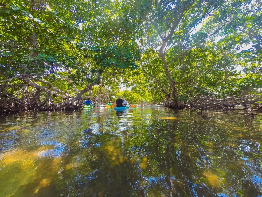 Miami: Key West Tour With Snorkeling & Kayaking - Coral Reef Snorkeling