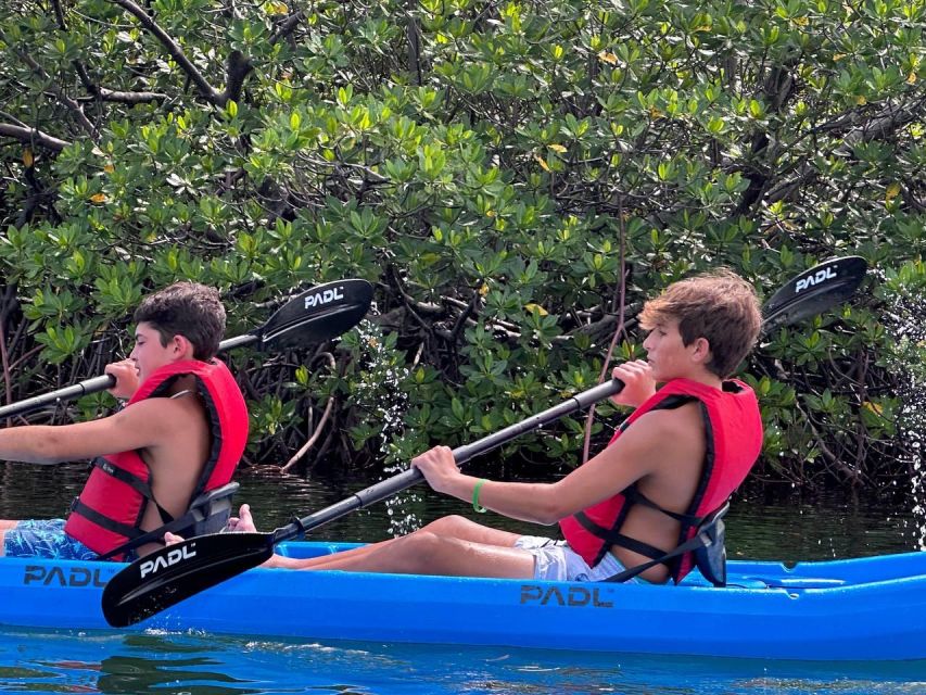 Miami: Paddle Board or Kayak Rental in Virginia Key - Inclusions