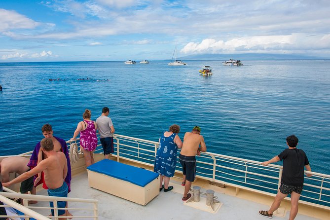 Molokini and Turtle Arches Snorkeling Trip From Maalaea Harbor - Reviews and Testimonials