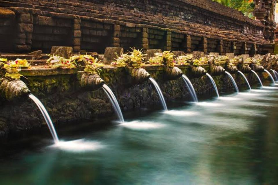 Monkey Forest, Rice Terrace, Water Temple & Waterfall Tour. - Tegalalang Rice Terrace