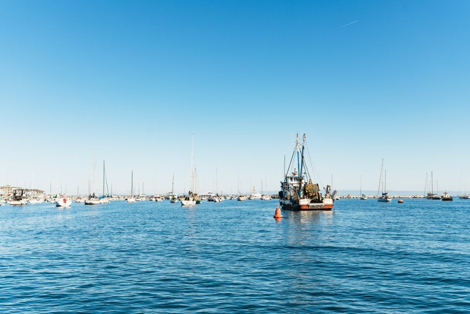 Monterey Bay: Whale Watching Tour - Highlights