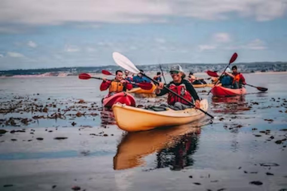 Monterey: Cannery Row Kayak Tour - Meeting Point and Parking