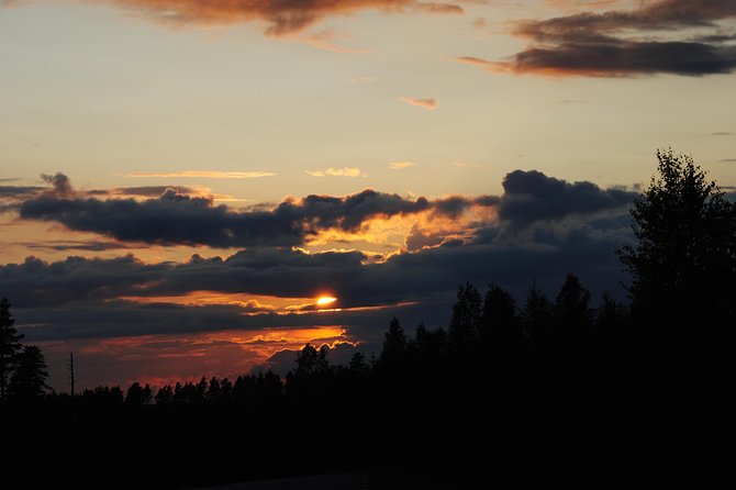 Moose Safari in the Wild Sweden Tiveden - Binoculars for Wildlife Viewing