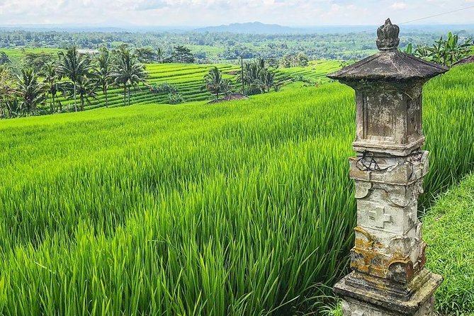 More Complete: Discover Bali In 3 Days Private Tour Package - Undivided Attention
