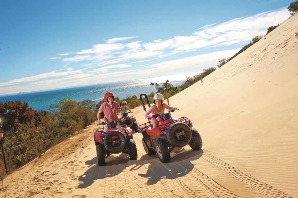 Moreton Island: Tangalooma ATV Quad Bike & Dolphin Feeding - Recap