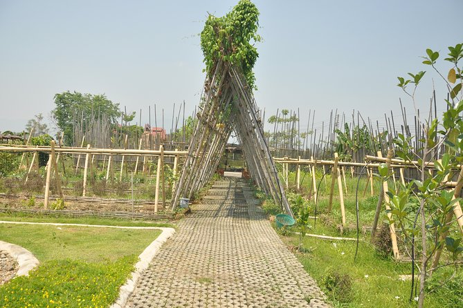 Morning Cooking Class in Organic Farm With Local Market Tour - Additional Information for Participants