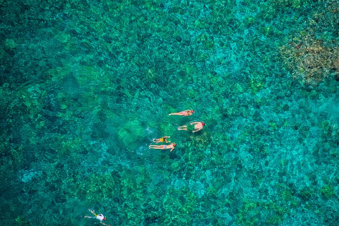 Morning Kealakekua Snorkel Tour - Pricing & Reservations