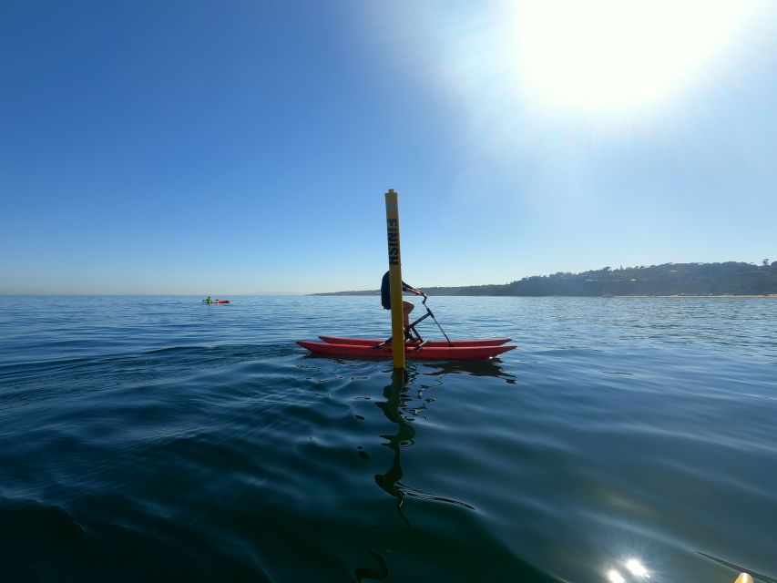 Mornington: Port Phillip Bay Water Bike Tour - Tour Highlights