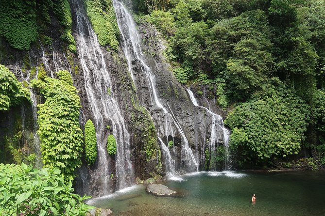 Mount Bromo & Ijen & Madakaripura Waterfall Tour (3D2N) -Homestay - Customer Experiences