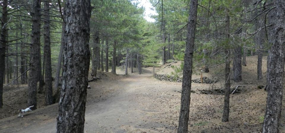 Mount Etna Jeep Tour With Lunch From Taormina - Lava Cave Discovery