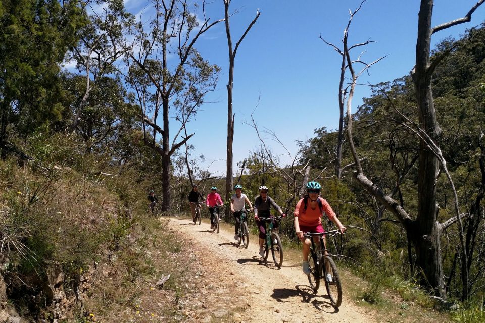 Mount Lofty Downhill Bike Tour & Cleland Wildlife Park Visit - Tour Schedule