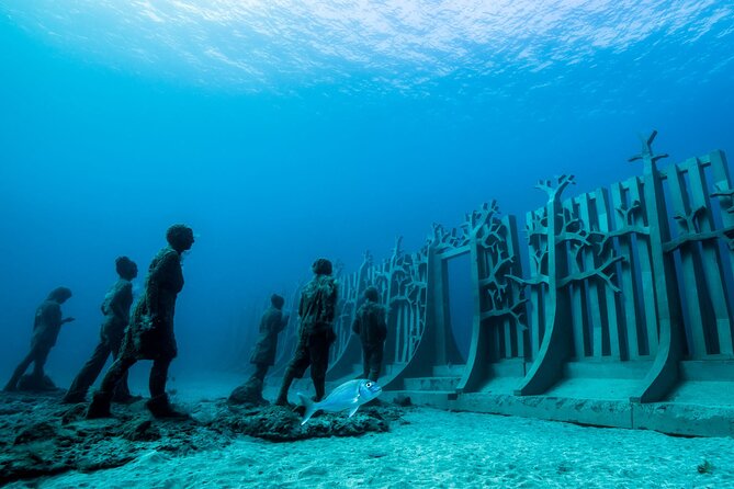Museo Atlantico for Certified Divers - Group Size and Transportation