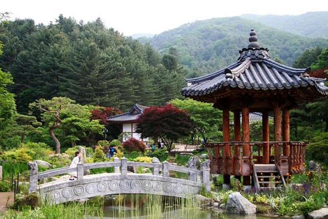 Nami Island, Cable Car, Garden of Morning Calm Panoramic Tour - Garden of Morning Calm Visit