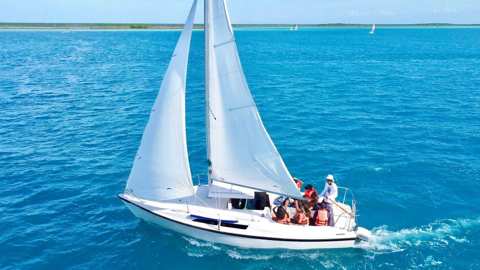 Navigate the Adventure in a Group Through Bacalar - Taking in the Black Cenote